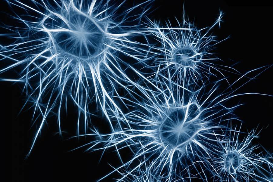 Nuove scoperte su cellule astrociti utili per future cure Alzheimer e Parkinson