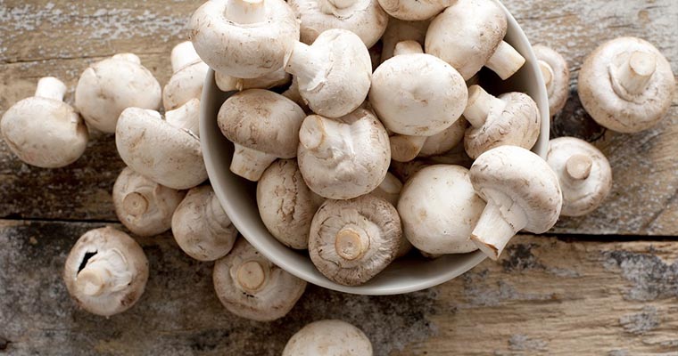 Mangiare funghi fa bene?