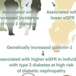 Galectina-1 biomarcatore diabete 2