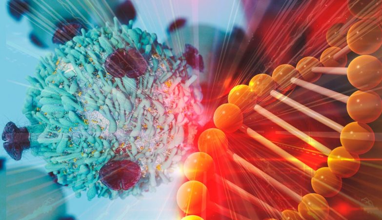 Mutazioni genetiche mappa interazioni proteine che causano tumori