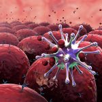 Cura tumori: nuove scoperte per farmaci immunoterapici