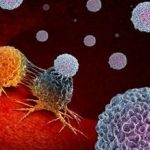 Proteina ERK5 aiuta tumori a crescere: nuovo possibile bersaglio per nuovi farmaci
