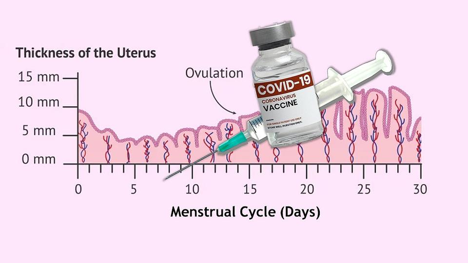 Vaccino anti Covid e disturbi del ciclo mestruale: avviate verifiche EMA