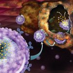 Tumori nuove scoperte metabolismo amminoacidi