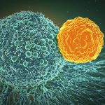 Immunoterapia oncologica interleuchina-2 contro tumori