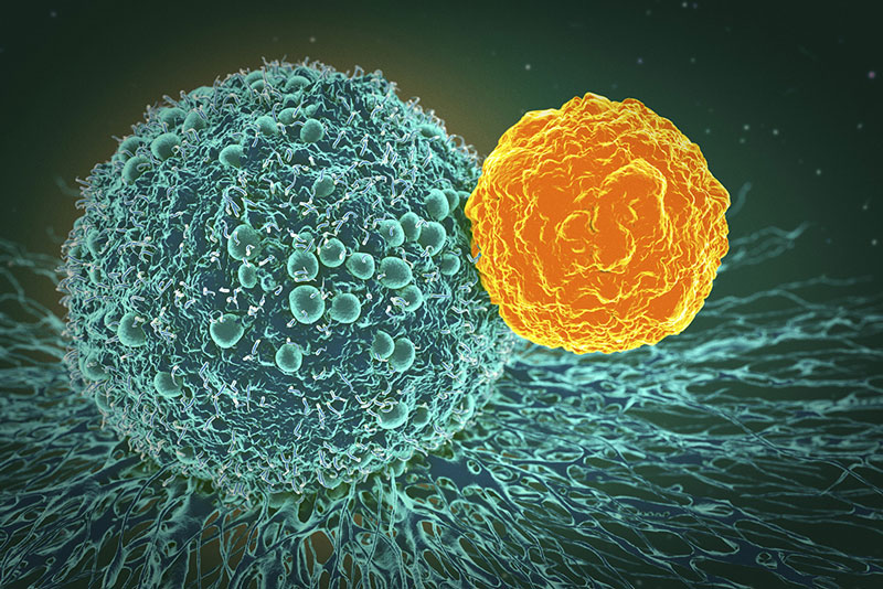 Nuove cure contro i tumori ovarici e del colon: somministrazione mirata di interleuchina