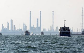 Mar Adriatico inquinamento impatto umano