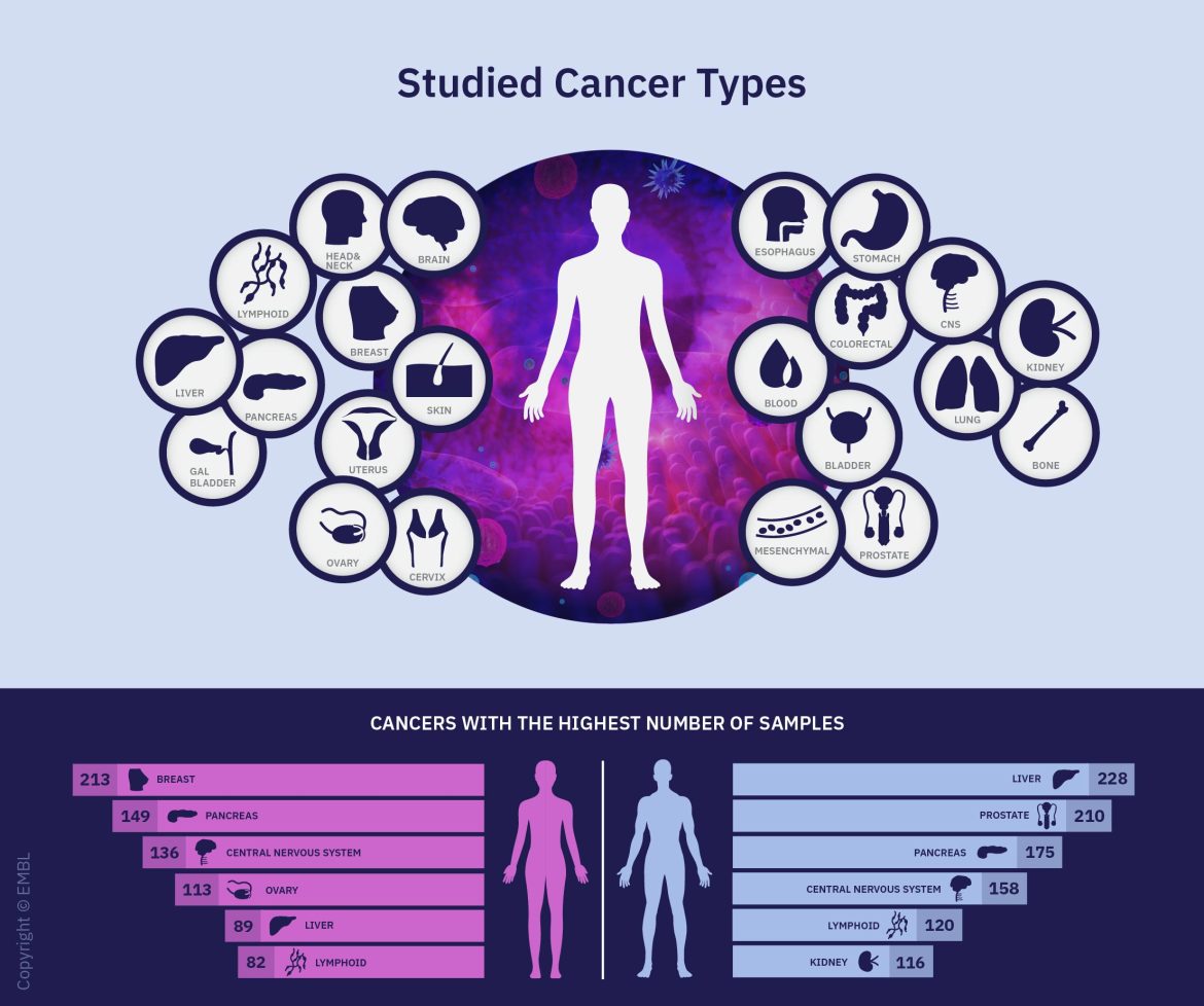 Mutazioni e tumori: identificati 58 modelli utili per diagnosi precoci