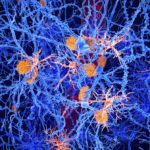 Novità Alzheimer microglia CRISPR