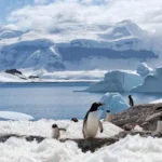 Antartide scioglimento ghiacciai può rallentare