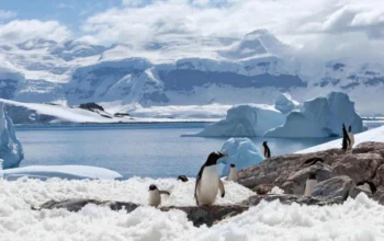 Antartide scioglimento ghiacciai può rallentare