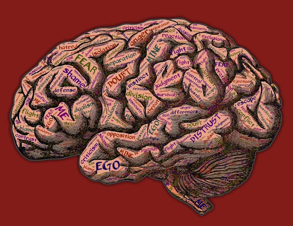 L’egoismo e l’altruismo dipendono dai circuiti nervosi nel cervello