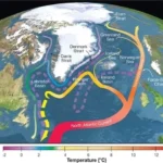 Amoc correnti Atlantiche cambiamento climatico
