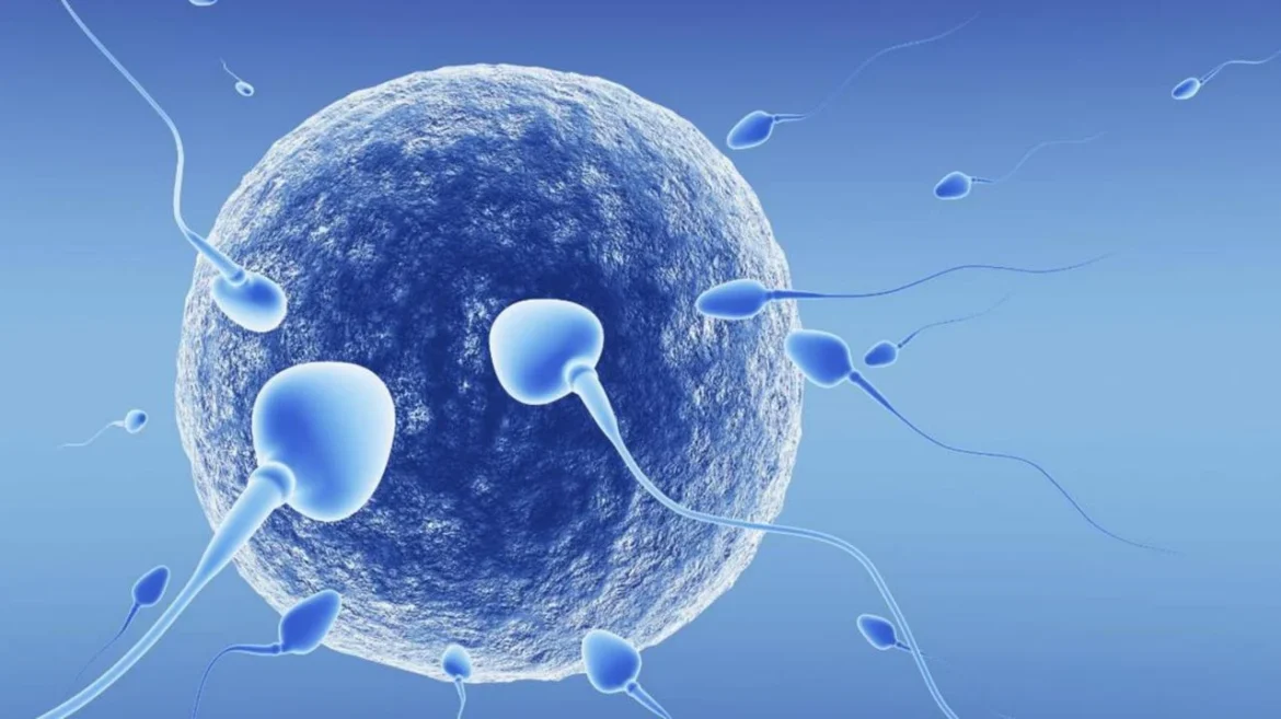 Infertilità maschile percentuale di spermatozoi si è abbassato al 50%