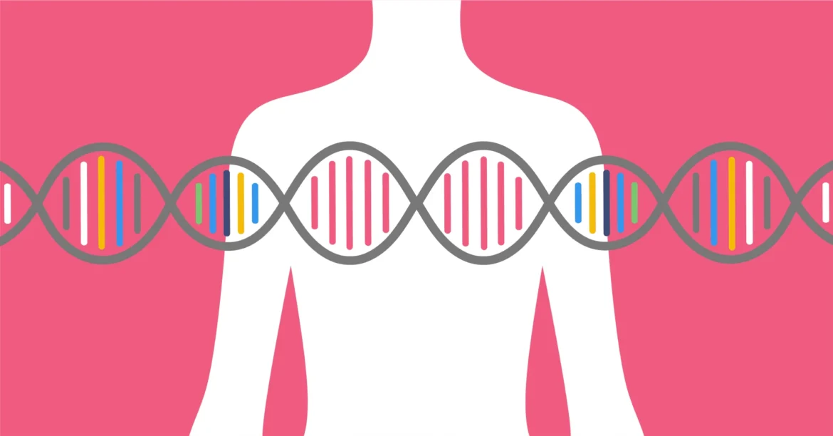 Cancro al seno scoperti quattro nuovi geni associati al rischio