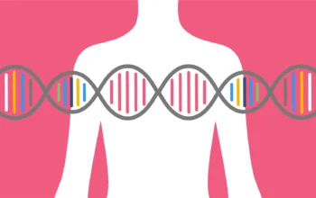 Cancro al seno scoperti nuovi geni associati