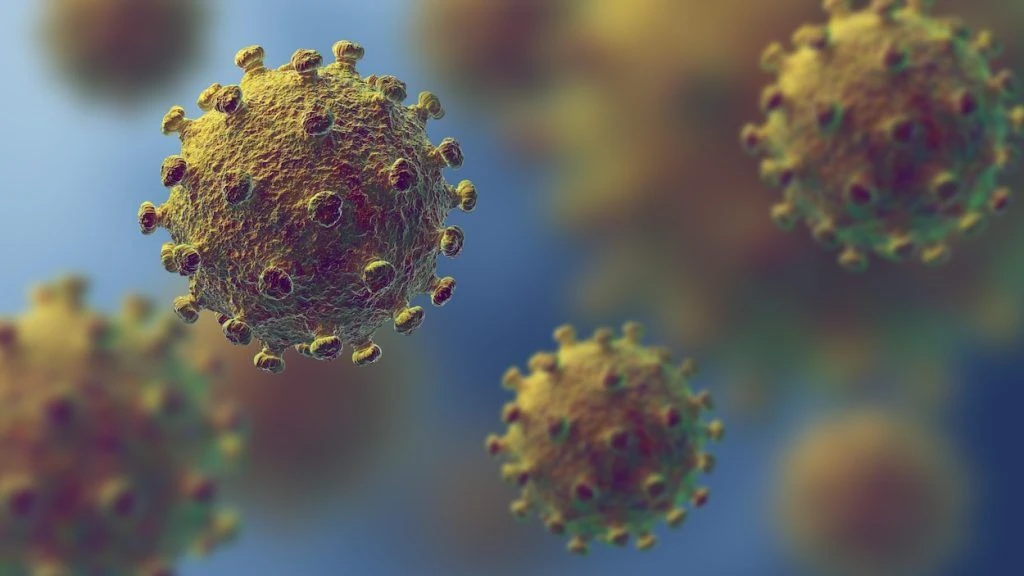 Virus HIV scoperta nuova variante genetica che controlla l’infezione