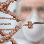 Casgevy nuovo farmaco CRISPR contro anemia