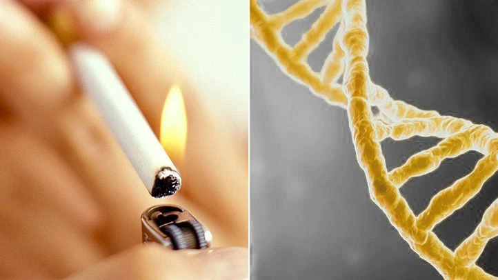Fumo provoca cancro perché crea mutazioni genetiche