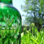 Vetro biodegradabile e riciclabile fatto di amminoacidi