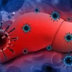 Epatite B cronica nuove cure immunoterapia 2024
